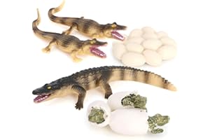 HVOGVOK Crocodile Growth Cycle, Animal Growth Cycle Biological Model Toy Growth Stage Lifelike Crocodile Life Cycle Model Set for Kids Education Insect Themed Party Favors