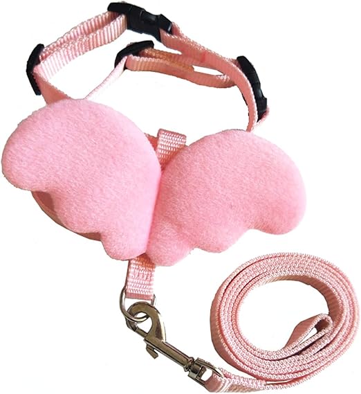 pretty dog leashes