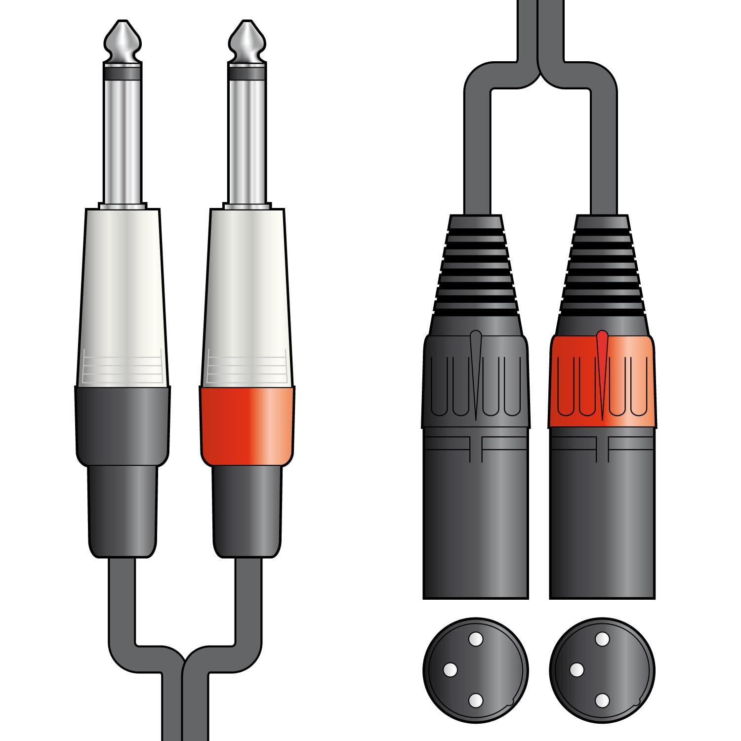 Classic 2 Jacks - 2 XLRM 6.0m