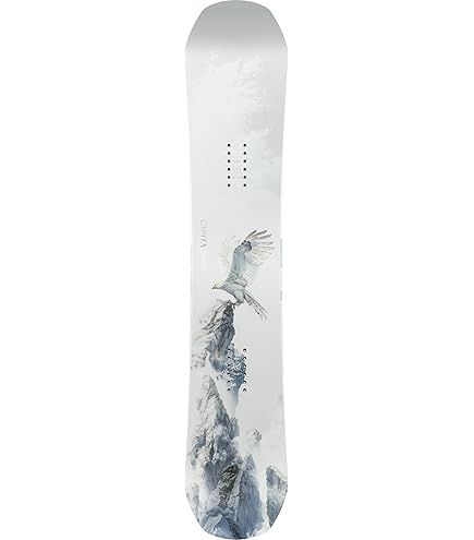 Amazon.com : CAPiTA Birds of A Feather Womens Snowboard 148cm