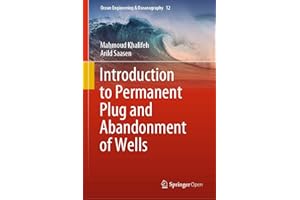 Introduction to Permanent Plug and Abandonment of Wells (Ocean Engineering & Oceanography Book 12)