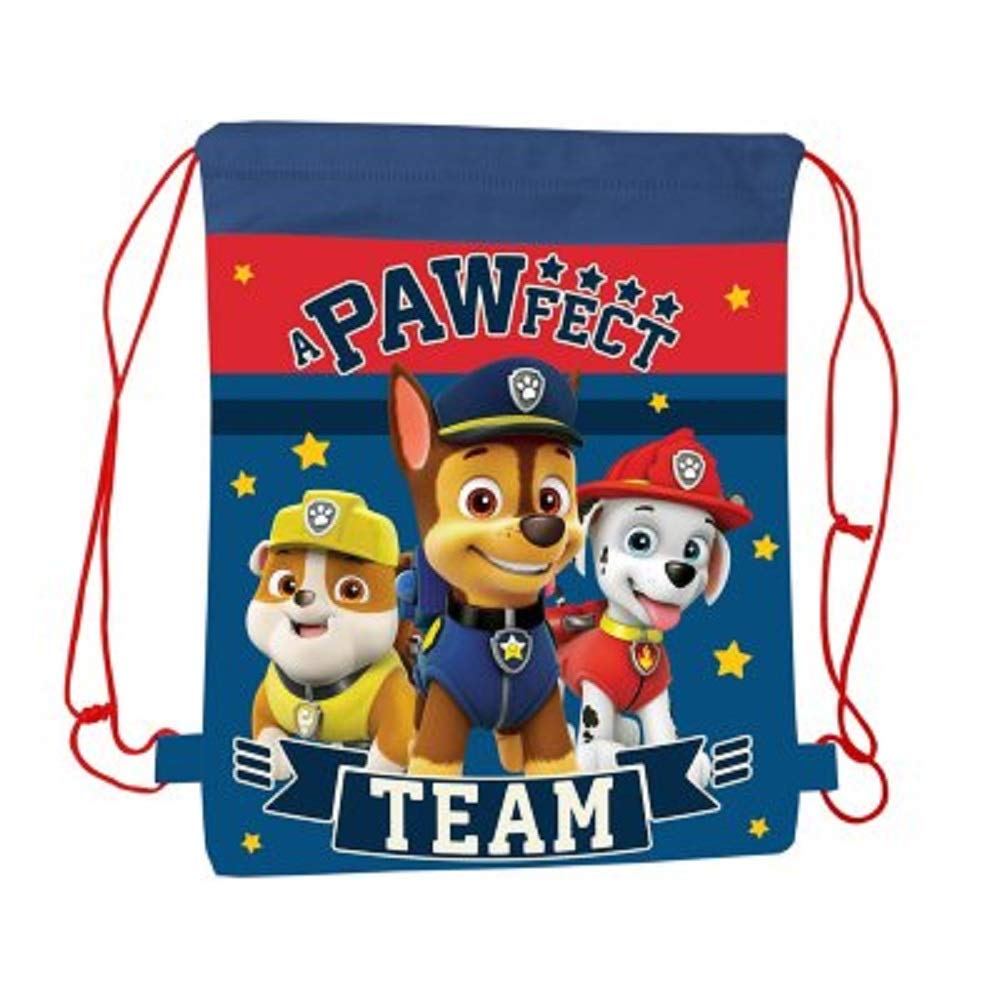 paw patrol swim bag