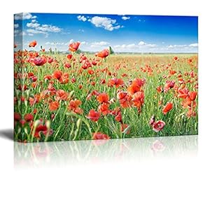 Red Poppies on Green Field Under Blue Sky