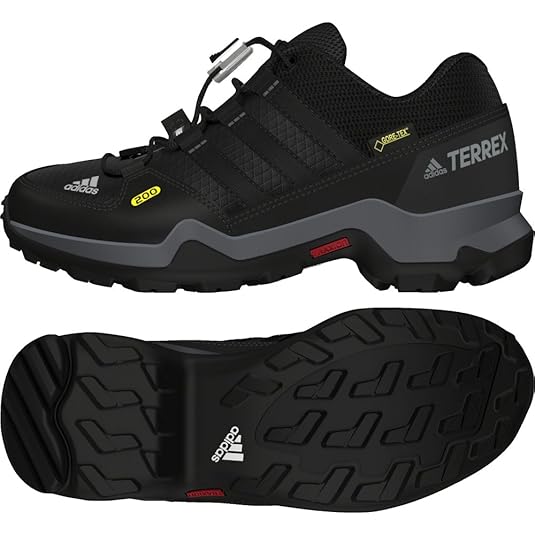 adidas Unisex-Kinder Terrex GTX K Wanderschuhe