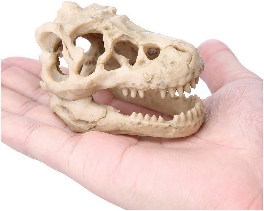 ZYMY Aquarium Decor Resin Emulational Skull - Image 4