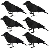 FOIMAS Halloween Black Crows,Realistic Feathered Crow Ravens Prop for Inddor Outdoor Halloween Party Decoration Supply,Pack of 6