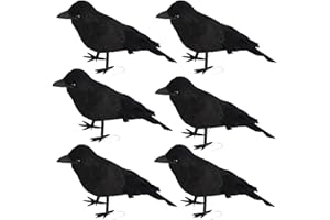 FOIMAS Halloween Black Crows,Realistic Feathered Crow Ravens Prop for Inddor Outdoor Halloween Party Decoration Supply,Pack of 6