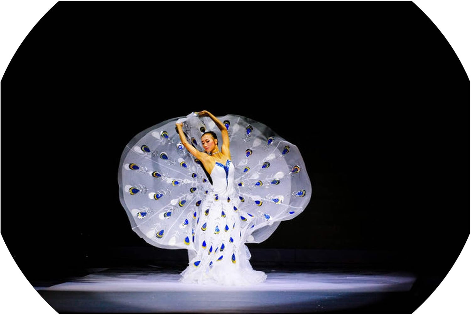 peacock skirt amazon