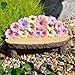 Darice DC2014001 Mini Garden Bench Resin