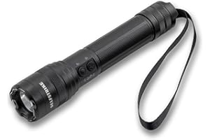 SELFSTRIKE Stun Gun with LED Flashlight for Self Defense,Aluminum,Built-in chip,Battery Protection,Concealed Prong Technology,Super Strength Power,Multiple Light Modes,Holster and Charging Cable