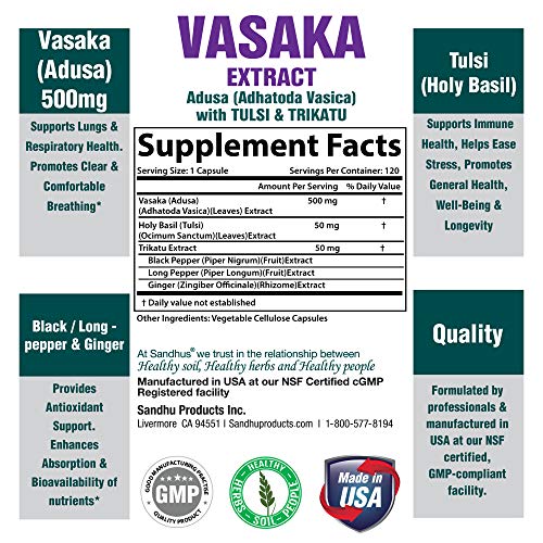 Vasaka Lungs & Respiratory Support Supplement with Holy Basil, Black