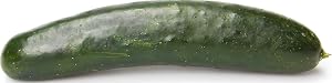 Organic Cucumber
