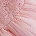 FEESHOW Baby Girls Bowknot Lace Flower Dress Wedding Baptism Christening Gown Pageant Birthday Tutu Dress Pink 3-6 Months