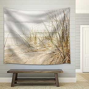 Close Up of a Tall Grass on a Beach During Stormy Season - Fabric Wall Tapestry Home Decor - 51x60 inches
