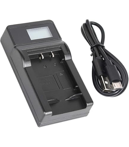 Amazon.com : Surpassed Battery Pack and LCD USB Travel Charger for