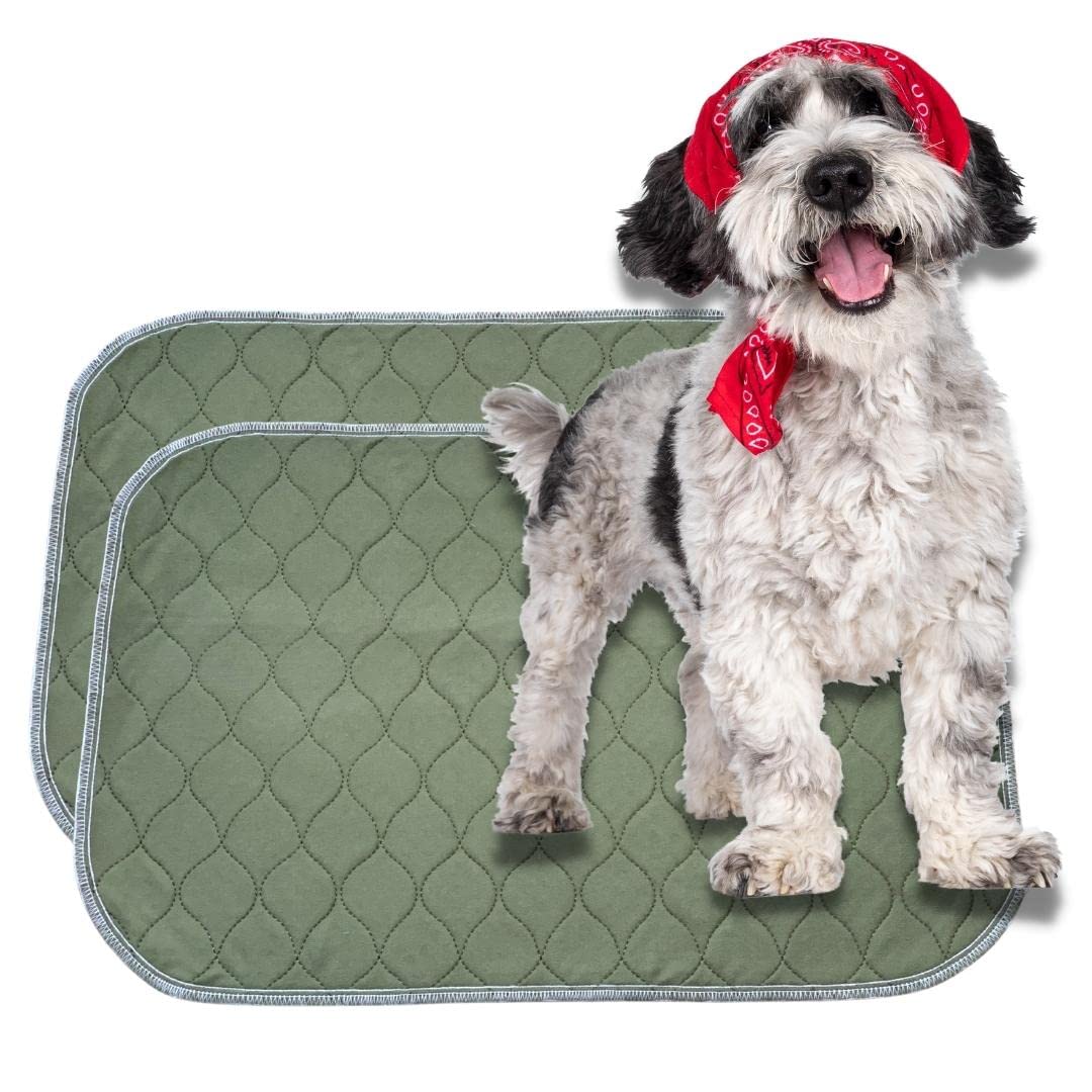 Millie Mats Reusable Puppy Pads 2 Pack Small Absorbent 4 Layer Quilted Washable Anti-Slip Smell Resistant for Dogs, Cats, Guinea Pigs, Rabbits. Incontinence, Period, Bedwetting