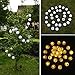 LUCKLED Outdoor Fairy Lantern Solar String Lights, 19.7ft 30 LED Christmas Globe Lights for Indoor and Outdoor, Home, Lawn, Garden, Wedding, Patio, Party, and Holiday Decorations (Warm White)