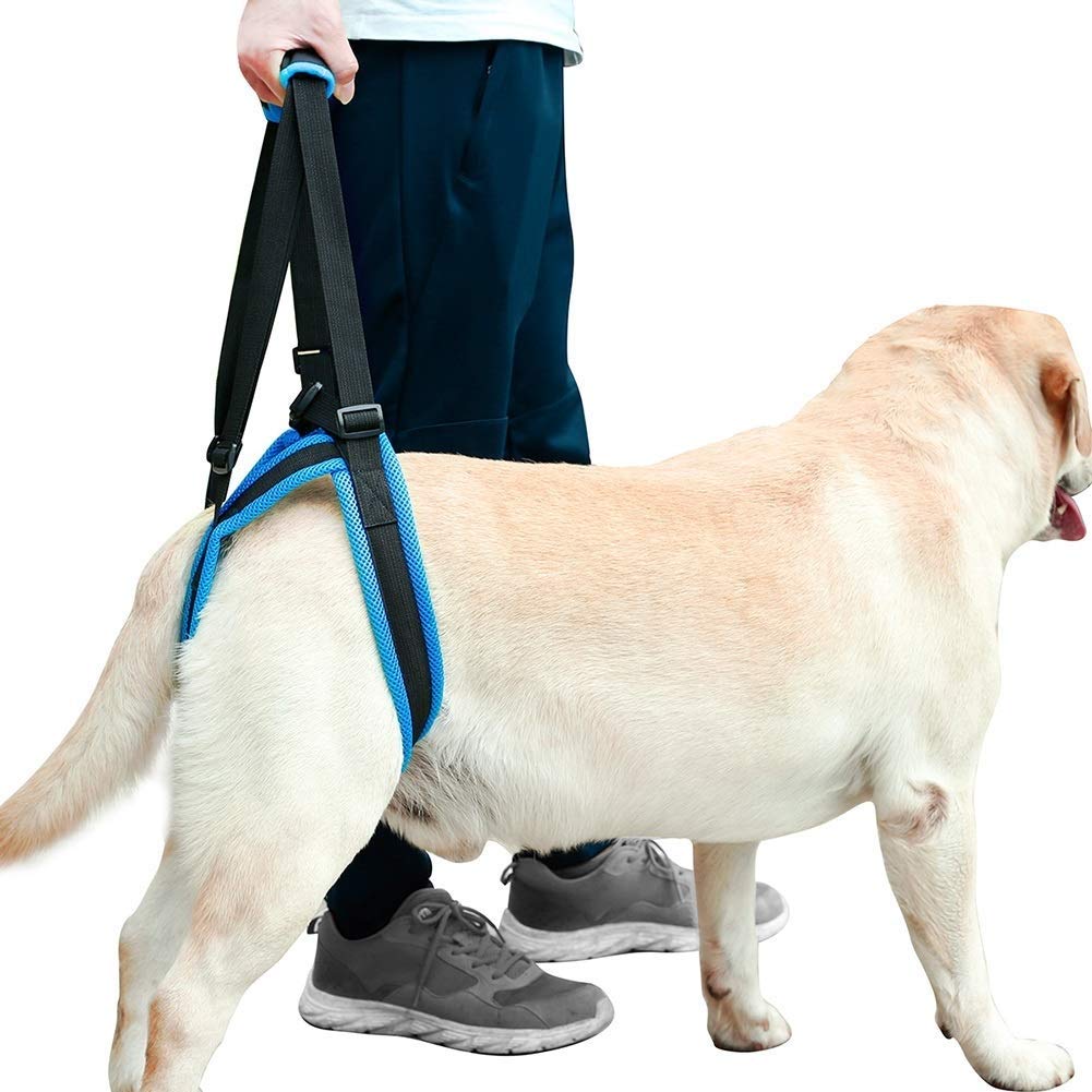 Photo 1 of Dog Lift Support Harness - Dog Lift Harness for Back Legs Weak Rear Legs, Adjustable Dogs Back Leg Hind Leg Hip Support Harness for Senior Dogs with Joint Injuries or Disabilities