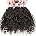 Beauty Forever Malaysian Curly Hair 3 Bundles Virgin Hair with 13x4 Lace Frontal Closure Free Part Unprocessed Human Virgin Curly Hair Weave Natural Color (20 22 24+18 Frontal)