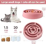 SUOXU Slow Feeder Dog Bowl Non Slip Puzzle Bowl for Small Medium Dogs view 3