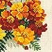 RIOLIS 1556 - Marigolds - Counted Cross Stitch Kit 7¾