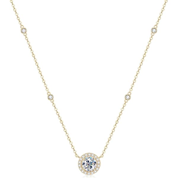 Amazon.com: Daniel Wellington Elevation necklace One Size