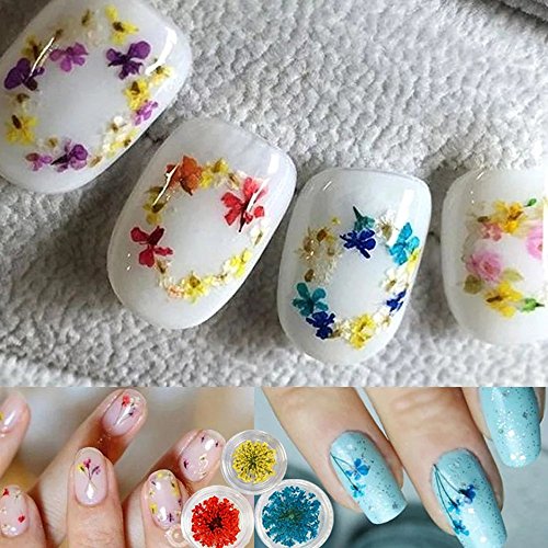 EYX Formula Set of 12 Different Dry Flowers Colors DIY Nail Art 3D Nail Stickers Nail Supplies Dried Flowers Nial Decoration Tool for Manicure - Thumbnail 3