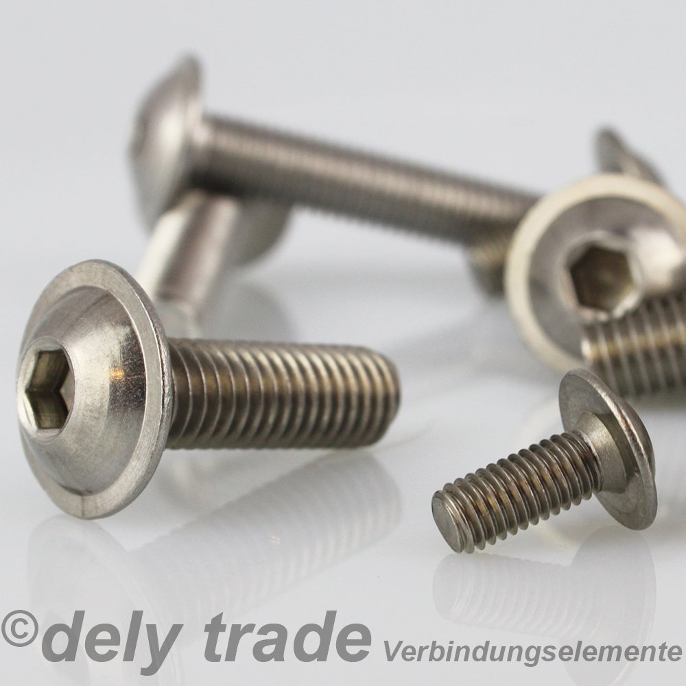 Viti a testa esagonale M6x16 304 in acciaio inox con testa a bottone (confezione da 50 Viti a testa esagonale M6x16 304 in acciaio inox con testa a bottone (confezione da 50