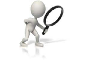 Job Search