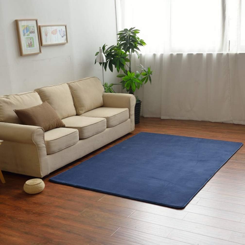 MOXIC Solid Square Area Rugs Soft Living Room Children Bedroom Rug Coral Fleece Anti-Slip Carpets Home Decor Modern Indoor Outdoor Runners Nursery Navy Blue 6.5' X 6.5'