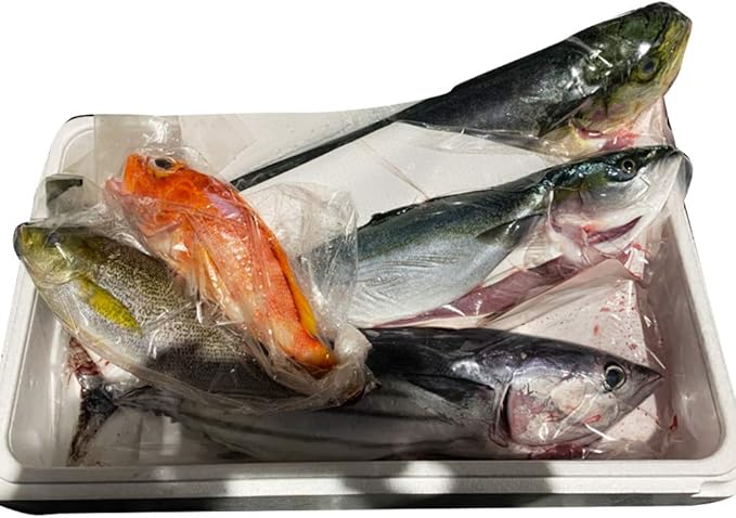 Amazon ざこばの朝市 市場直送 目利き が 選ぶ 天然 まるごと 鮮魚セット 新鮮 ざこばの朝市オンラインショップ 生鮮魚介類 水産加工品 通販