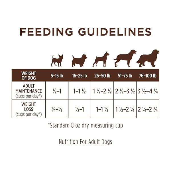INSTINCT LIMITED INGREDIENT DIET, NATURAL DRY DOG FOOD, GRAIN FREE RECIPE – REAL LAMB, 4 LB. BAG