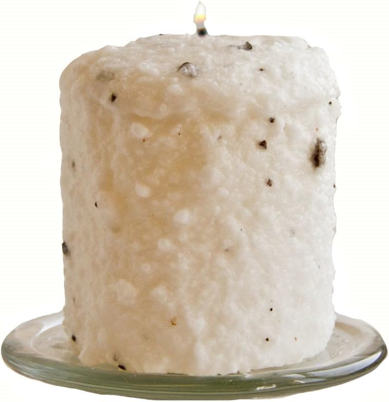 Warm Glow Candle Company Creamy Vanilla Bean Hearth Pillar Candle