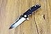 Enlan Bee EL-01A Classic Folding Knife with Drop Point Stainless Steel Blade and G10 Handle Flip Open Outdoor Tactical Pocket Knife with Clip (BlackStain)