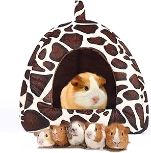 Spring Fever Hamster Guinea Pig Rabbit Dog Cat Chinchilla Hedgehog Bird Small Animal Pet Bed House Hideout Cage Accessorie