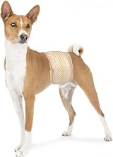 Pet Soft Male Dog Nappies 48 Count Disposable Wraps with Wetness Indicator view 2