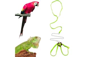 Sawyd Adjustable Reptile Lizard Harness Leash,Turtle Lizard Pet Traction Belt Bearded Dragon Accessories Soft Small Pet Animal Harness Rope,1.2M (Green)
