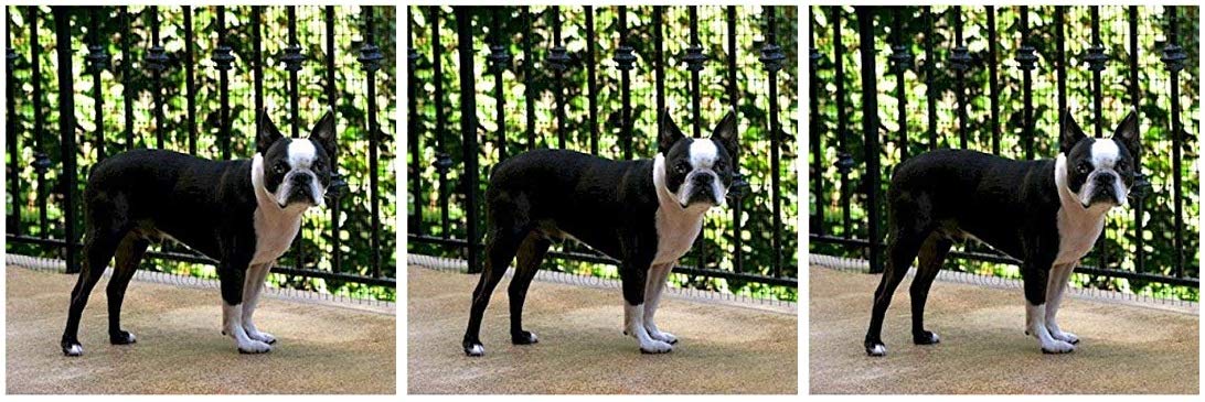 cardinal gates deck shield