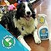 STAIN FU Pro Strength Carpet Odor & Stain Remover Works Like Magic in a Bottle on Tough Urine Feces Vomit and Even red Wine Too! 24 fl.oz