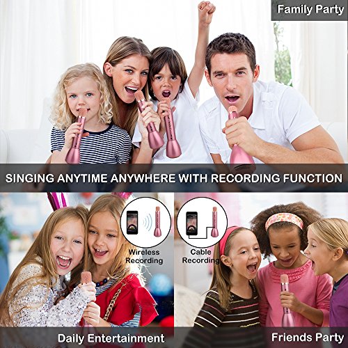 2 Microphone+Cordless+Wireless+Bluetooth+Portable