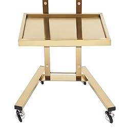 2 Tier Metal Rolling Cart, Stainless Steel Salon