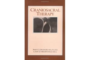 Craniosacral Therapy 1st Edition
