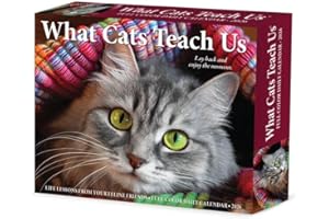 What Cats Teach Us 2026 5.4" x 6.2" Box Calendar