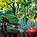 Wine Opener Set - Corkscrew, Foil Cutter, Vacuum Wine Stopper, Extra Spiral and Stand - Open a Bottle in 3 Steps
