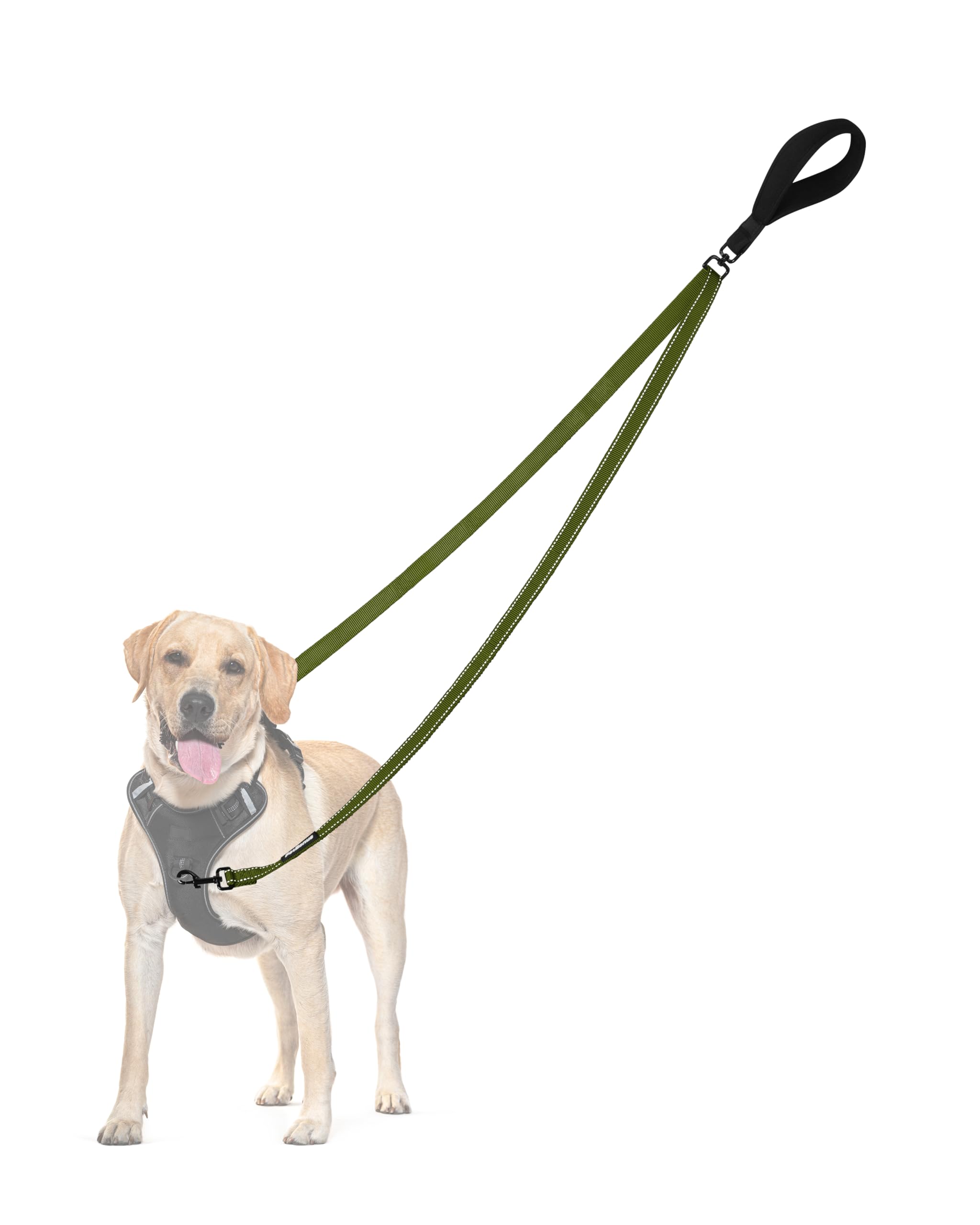 Photo 1 of PetBonus Two Point Control Dog Leash, Works with No Pull Harnesses, No Tangle Dog Training Leashes, No Pull Padded and Reflective Walking Lead, Converts to Single Leash for Large Dogs (Khaki Green)