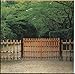 Bamboo Fences