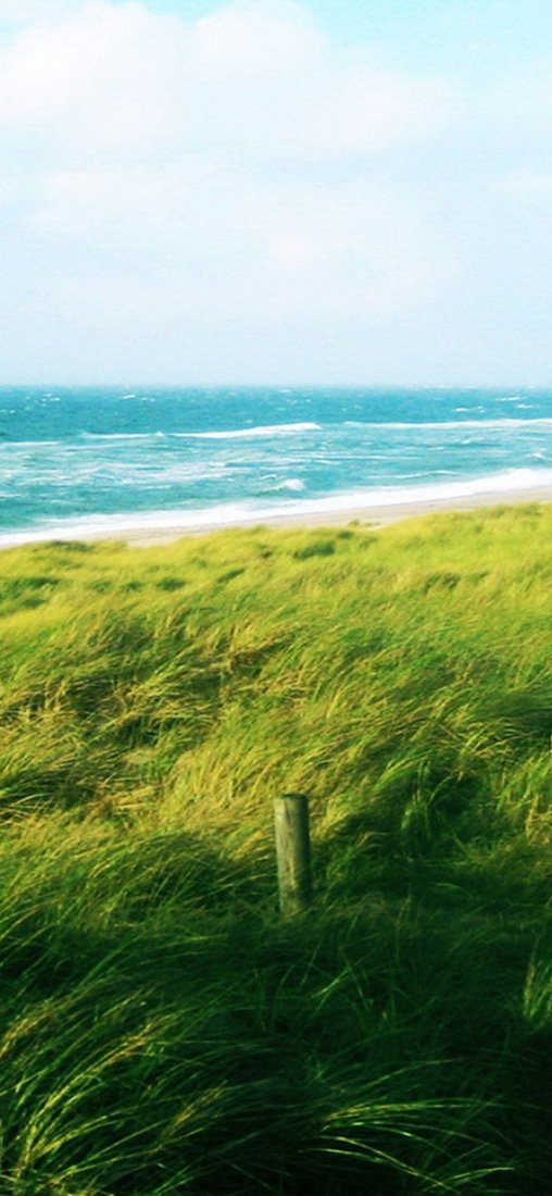 PeelitStickit, Beautiful Nature Wall Murals, ID-0954, vinyl