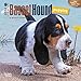 Basset Hound Puppies - 2016 Mini Wall Calendar 7 x 7in