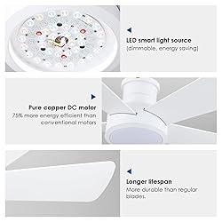 Ceiling Fans with RGB LED Lights, Modern Low