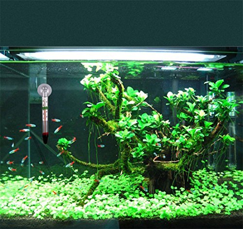 10 pcs Mini Fish Tank Aquarium Thermometer Household Temperature Measurement Glass with Suction Cup - Thumbnail 4
